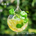 Shape Borosilicate Hanging Glass Vase